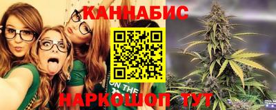 мдпв Новокубанск
