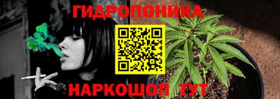 кокс Новозыбков